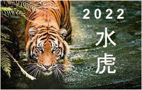 Rok Vodního Tygra 2022 – rok pohybu, odvahy a vůle